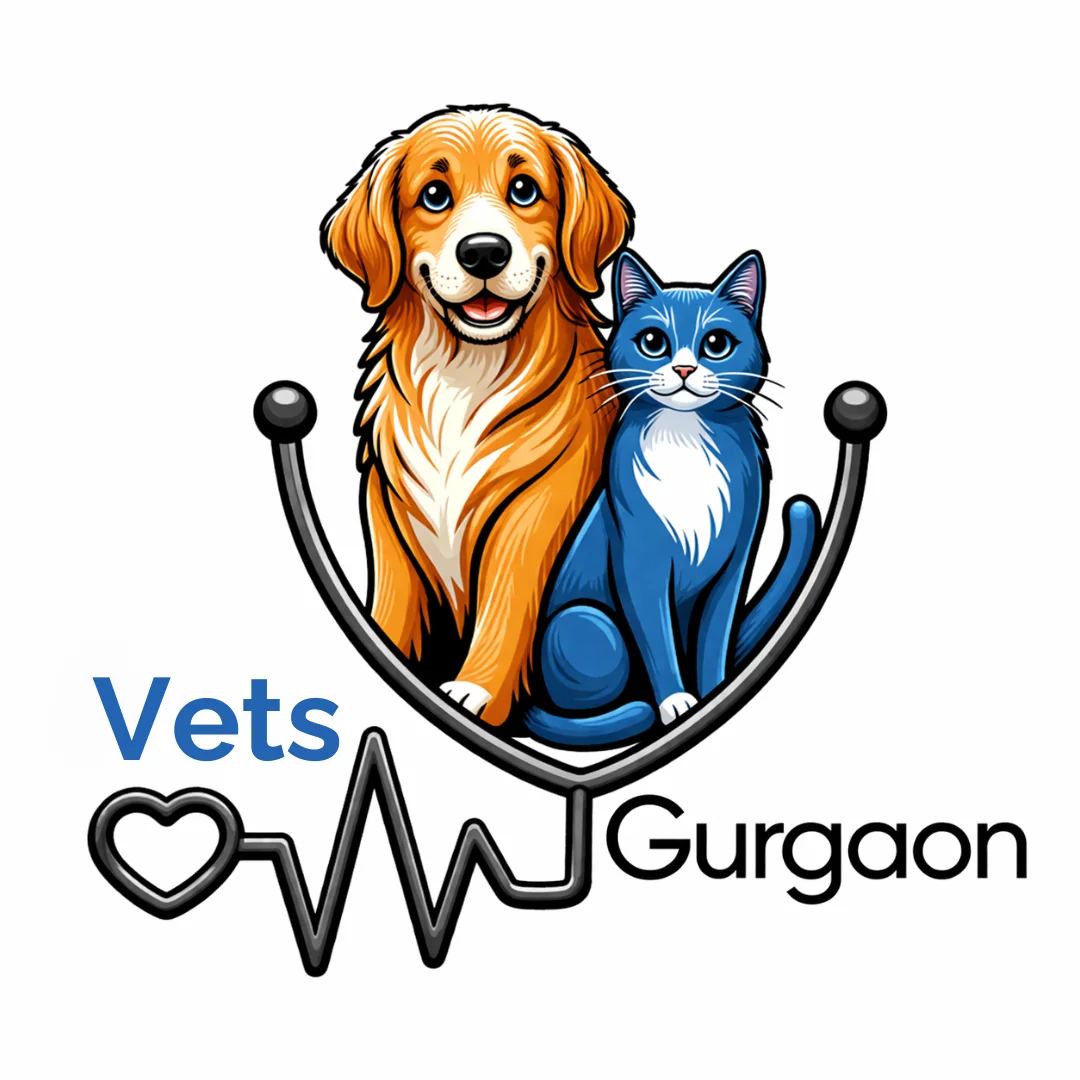 Vets in Gurgaon